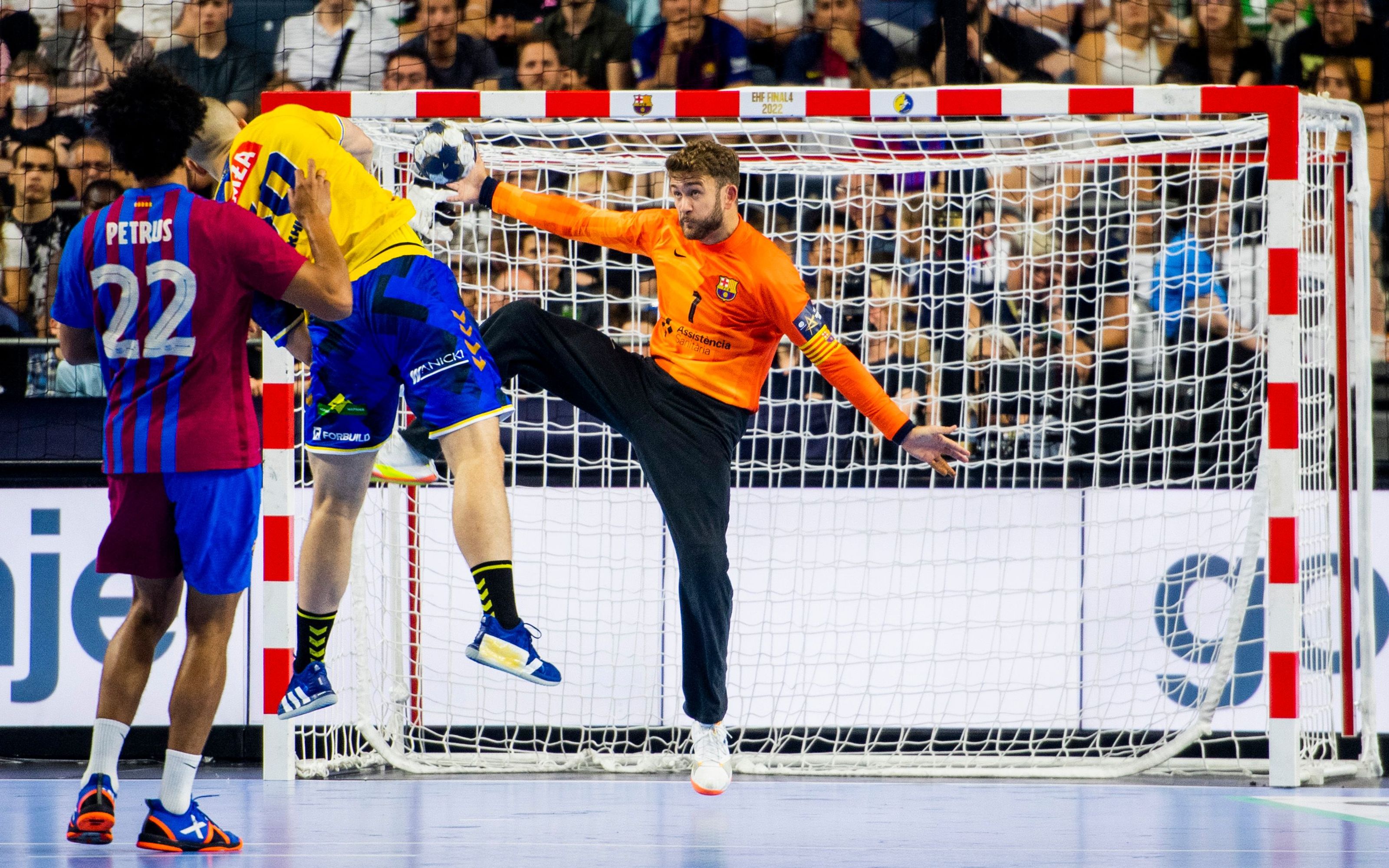 Handball champions of Europe, in pictures