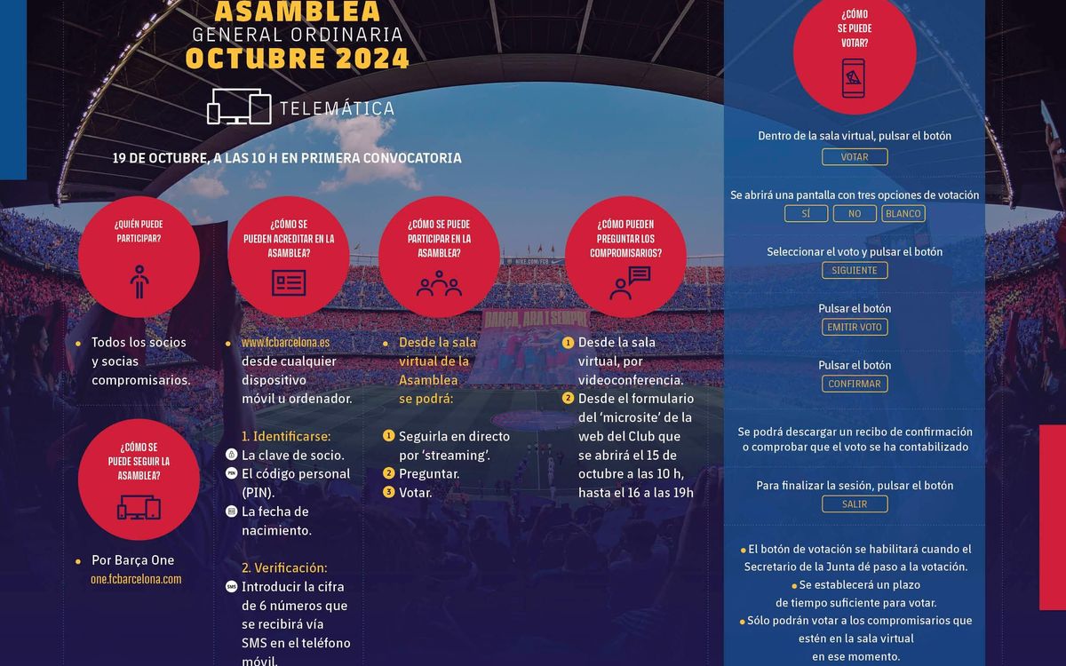 INFOGRAFIA ASSEMBLEA_TELEMATIC_OCTUBRE 2024_ESP